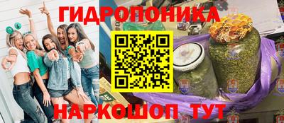 spice Кимры