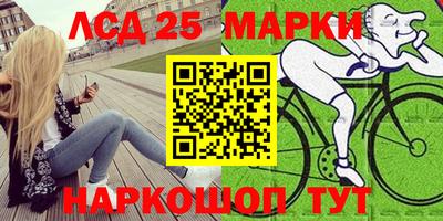 spice Кимры