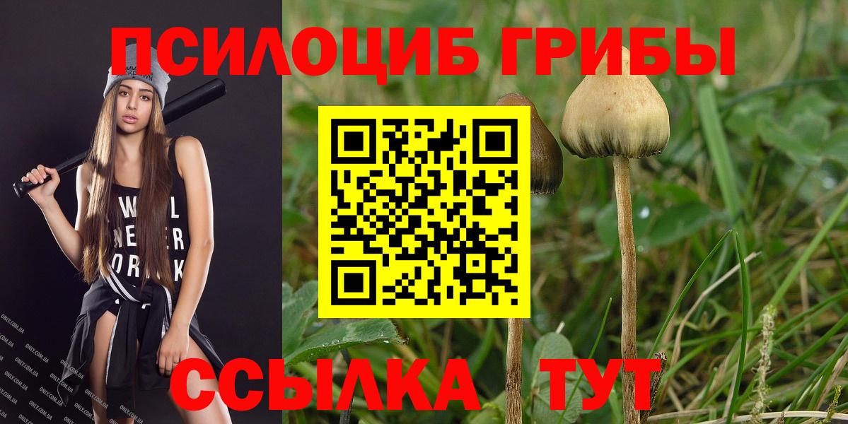 Галлюциногенные грибы Magic Shrooms  Вход с VPN  закладка  Калининград  Псилоцибиновые грибы прущие грибы 