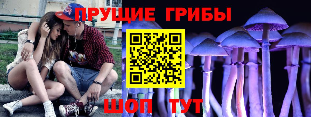 Псилоцибиновые грибы Cubensis Калининград