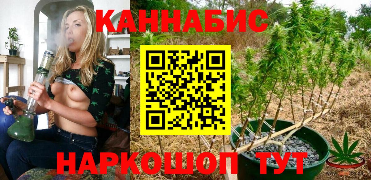 Канабис планчик  Бошки марихуана White Widow  Калининград  Каннабис Amnesia  Вход с VPN 